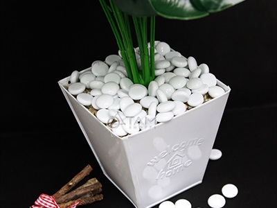 Sỏi thuỷ tinh viên tròn 2cm [Túi lưới 300gr - Nhiều màu] SOIDA-04