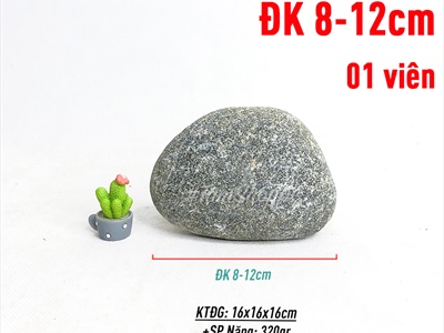 Viên đá cuội tự nhiên Decor - chặn giấy - kỳ lưng VDTC-SOIDA-01