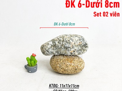 Viên đá cuội tự nhiên Decor - chặn giấy - kỳ lưng VDTC-SOIDA-01