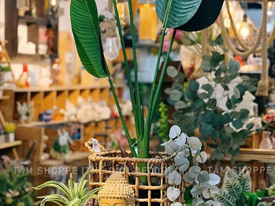 Tượng đầu phật gỗ nguyên khối phù điêu màu tự nhiên cao 20cm TUONGPHAT-02