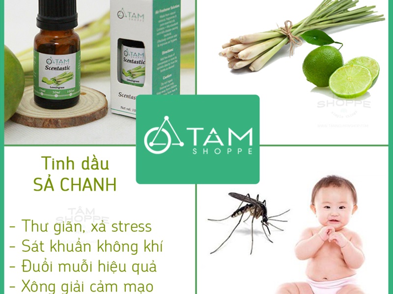 Tinh dầu sả chanh Organic 100% SCENTASTIC